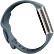 Smart watch FITBIT Charge 5 Platinum/Mineral - FB421SRBU 23775