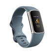 Smart watch FITBIT Charge 5 Platinum/Mineral - FB421SRBU 23777