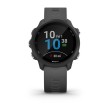 Smart watch GARMIN Forerunner 245 Black Slate - 010-02120-10 24003