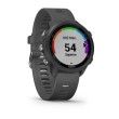 Smart watch GARMIN Forerunner 245 Black Slate - 010-02120-10 24009