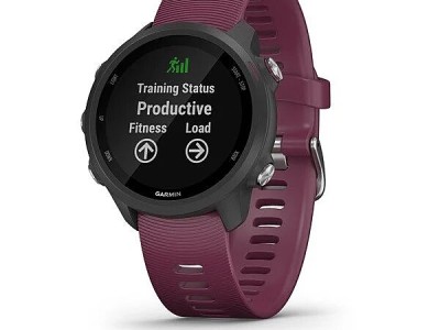 Smart watch GARMIN Forerunner 245 Black Berry - 010-02120-11