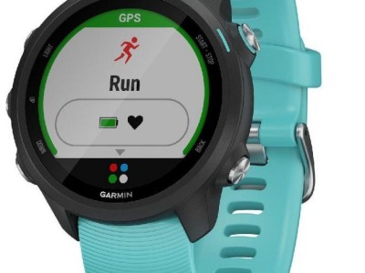 Smart watch GARMIN Forerunner 245 Music Blue - 010-02120-32