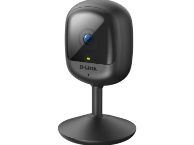 Video kamera D-LINK DCS-6100LH/E