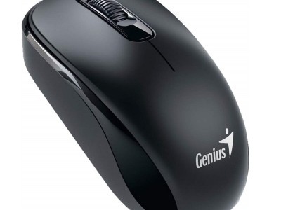 Miš GENIUS DX-110 Optical Mouse Black USB