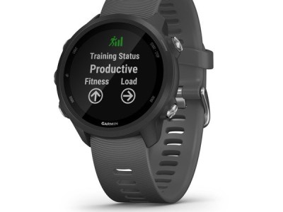 Smart watch GARMIN Forerunner 245 Black Slate - 010-02120-10