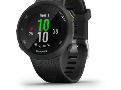 Smart watch GARMIN Forerunner 45L Black - 010-02156-15