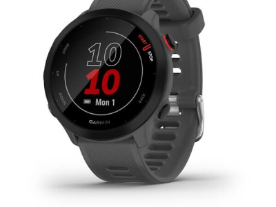 Smart watch GARMIN Forerunner 55 Monterra Grey - 010-02562-13