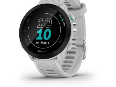 Smart watch GARMIN Forerunner 55 Whitestone - 010-02562-11