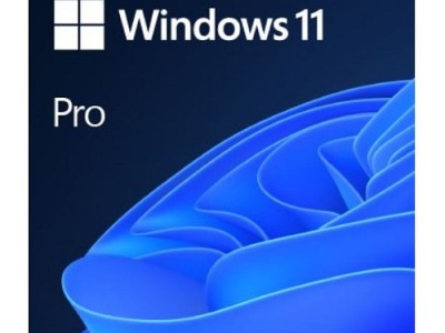 Software MICROSOFT Windows 11 Pro 64-bit Eng - OEM