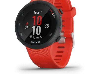 Smart watch GARMIN Forerunner 45L Lava Red - 010-02156-16