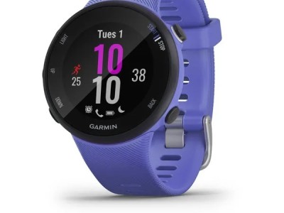 Smart watch GARMIN Forerunner 45S Iris - 010-02156-11