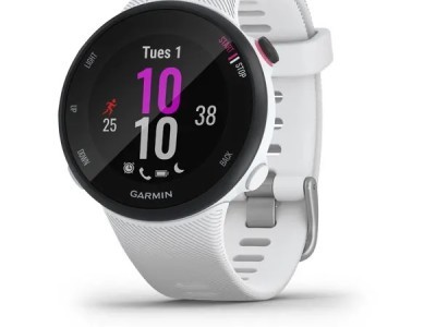 Smart watch GARMIN Forerunner 45S White - 010-02156-10