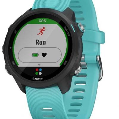 Smart watch GARMIN Forerunner 245 Music Blue - 010-02120-32