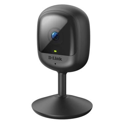 Video kamera D-LINK DCS-6100LH/E