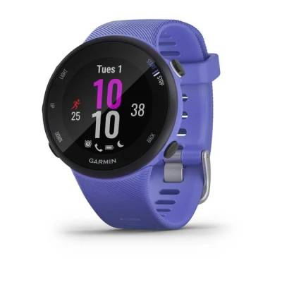 Smart watch GARMIN Forerunner 45S Iris - 010-02156-11