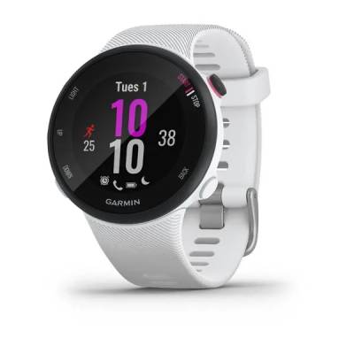 Smart watch GARMIN Forerunner 45S White - 010-02156-10