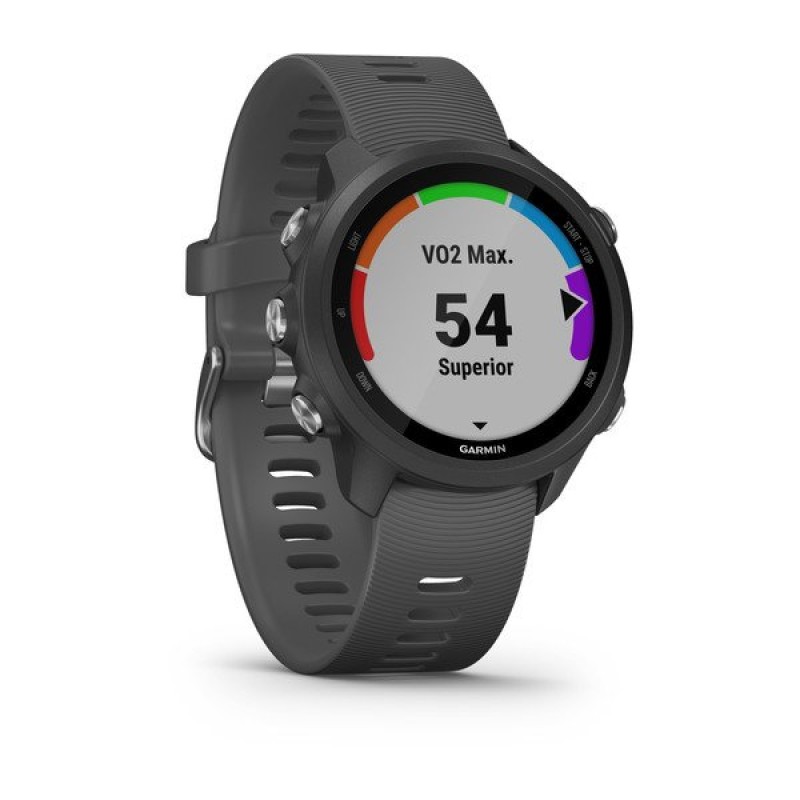Smart watch GARMIN Forerunner 245 Black Slate - 010-02120-10 24004