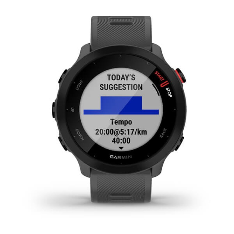Smart watch GARMIN Forerunner 55 Monterra Grey - 010-02562-13 23987