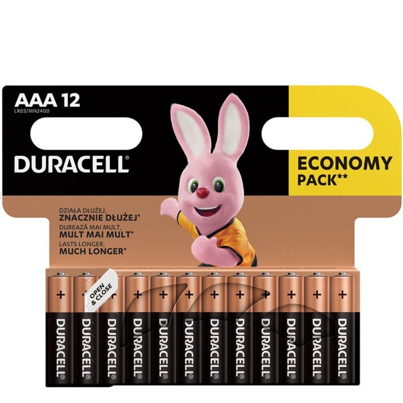 Baterija DURACELL AAA Basic 12/1 23313