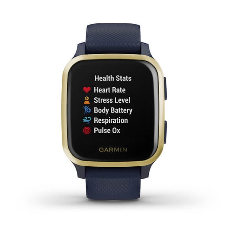 Smart watch GARMIN Venu Sq Music Navy/Light Gold - 010-02426-12 24200